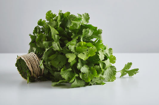 How to grow organic coriander